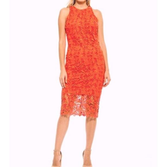 NWT Alexia Admor Coral Reese Halter Lace Midi Sheath Dress Sz 6 - Picture 1 of 13